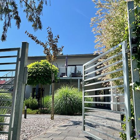 Apartmany Benesov Benesov nad Ploucnici Экстерьер фото