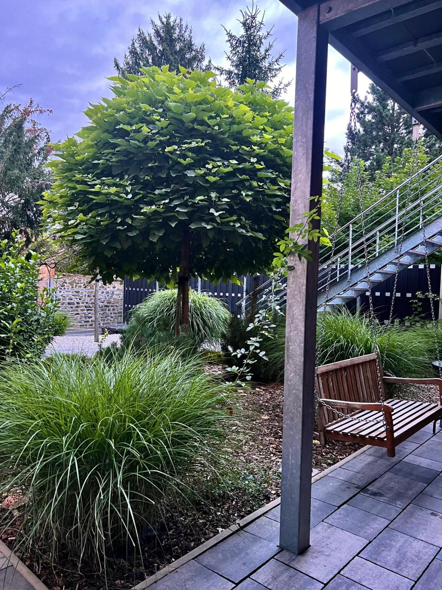 Apartmany Benesov Benesov nad Ploucnici Экстерьер фото